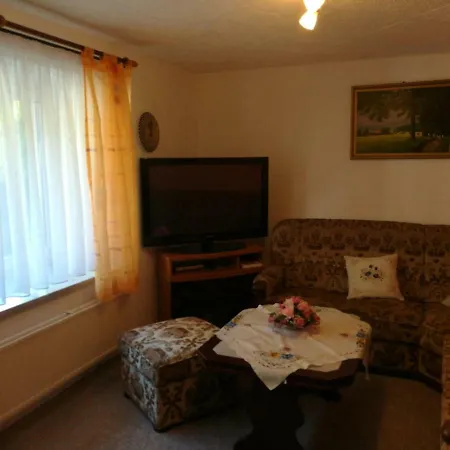 Apartment Erzgebirgsidyll Am Glockenwanderweg Deutschneudorf